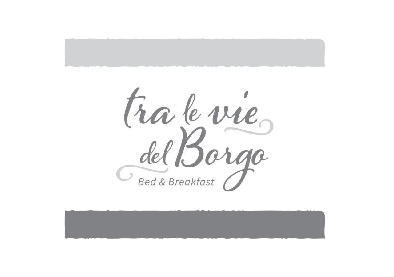 B&B Tra Le Vie Del Borgo Βιέστε Εξωτερικό φωτογραφία